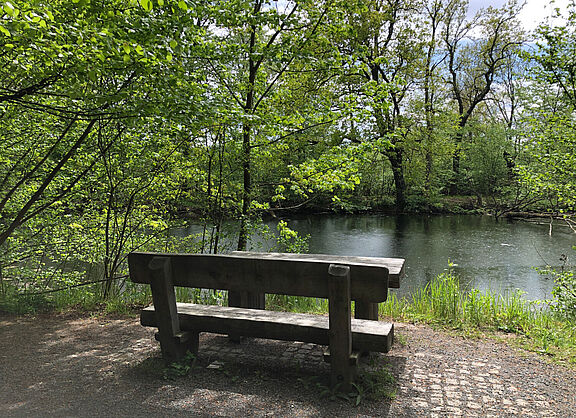 Bank am Spitzen Teich