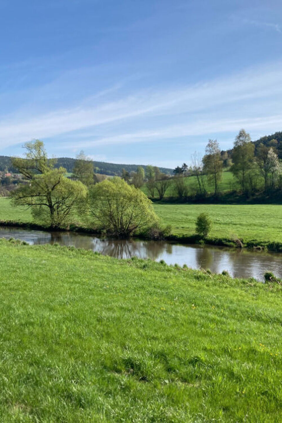 Entlang der Pfreimd Das Bild zeigt den Fluss Pfreimd mit grünen Wiesen entlang der Ufer